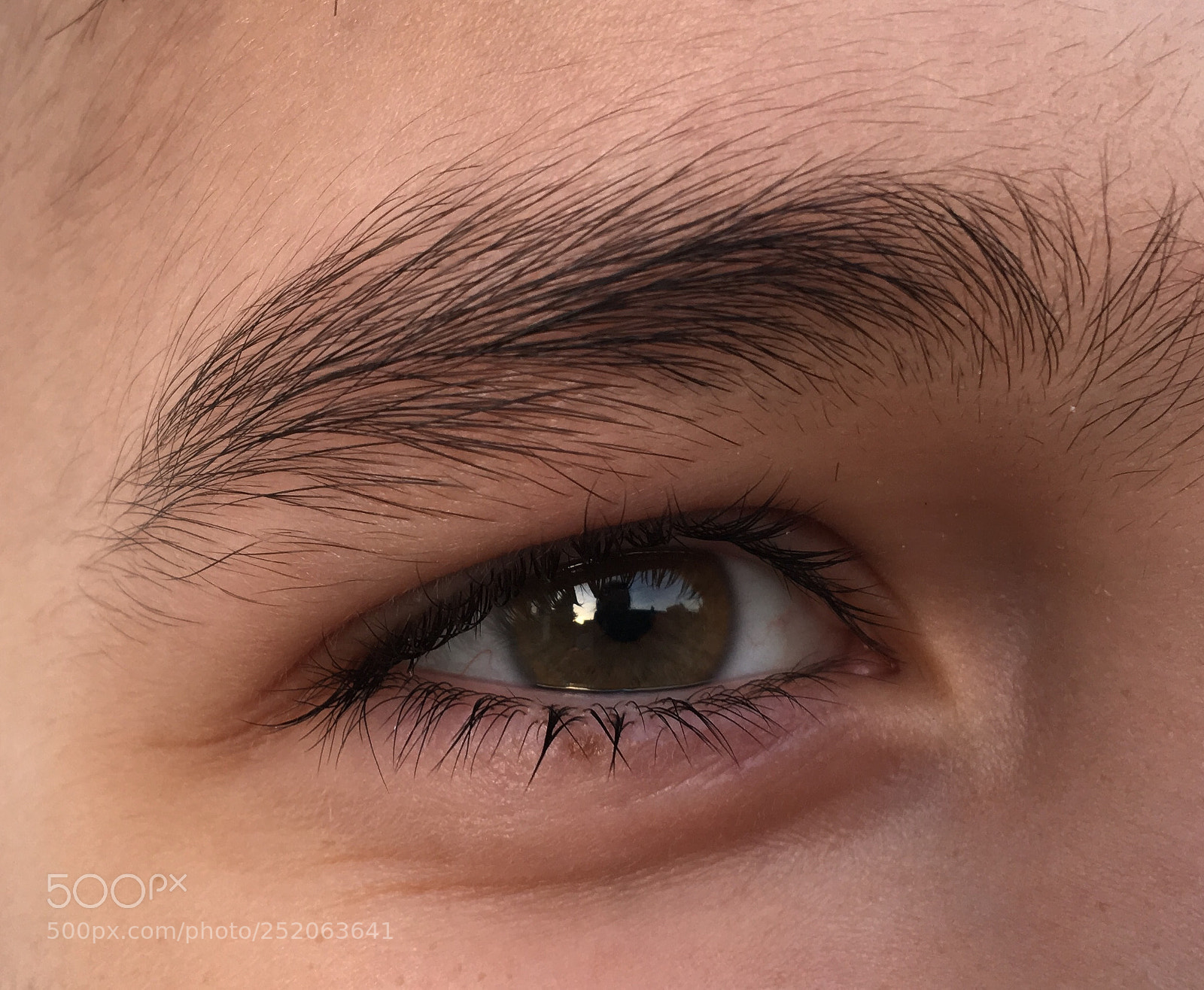Apple iPhone 6s sample photo. Untitled photography