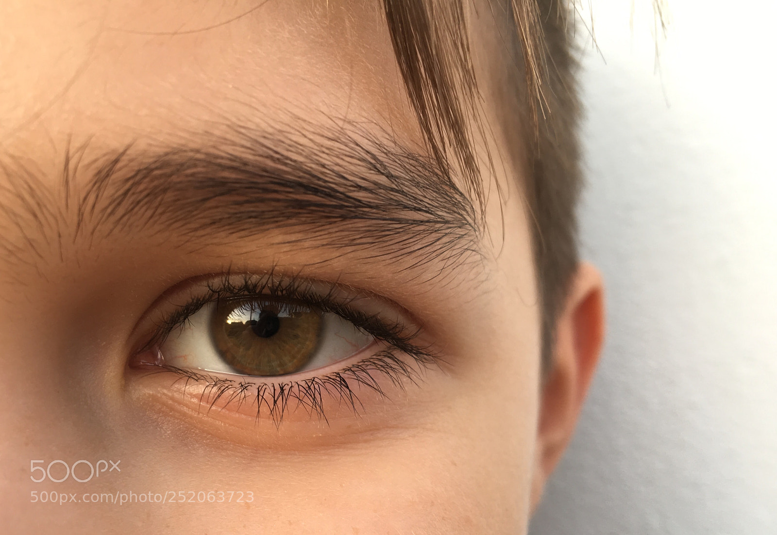 Apple iPhone 6s sample photo. Untitled photography
