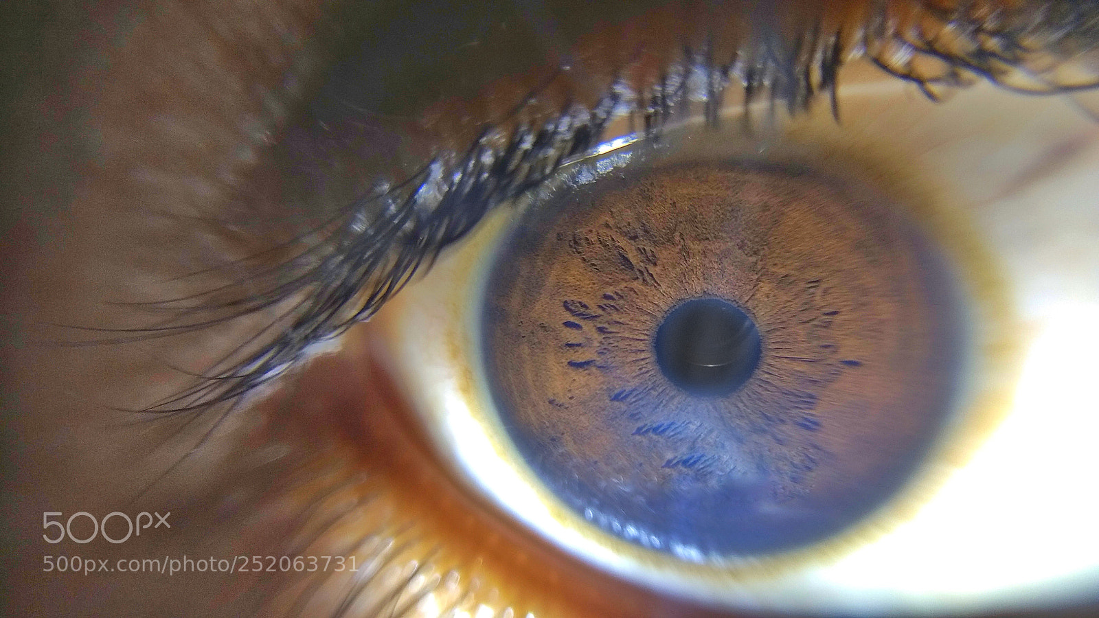 Xiaomi Redmi Note 4 sample photo. The eye photography