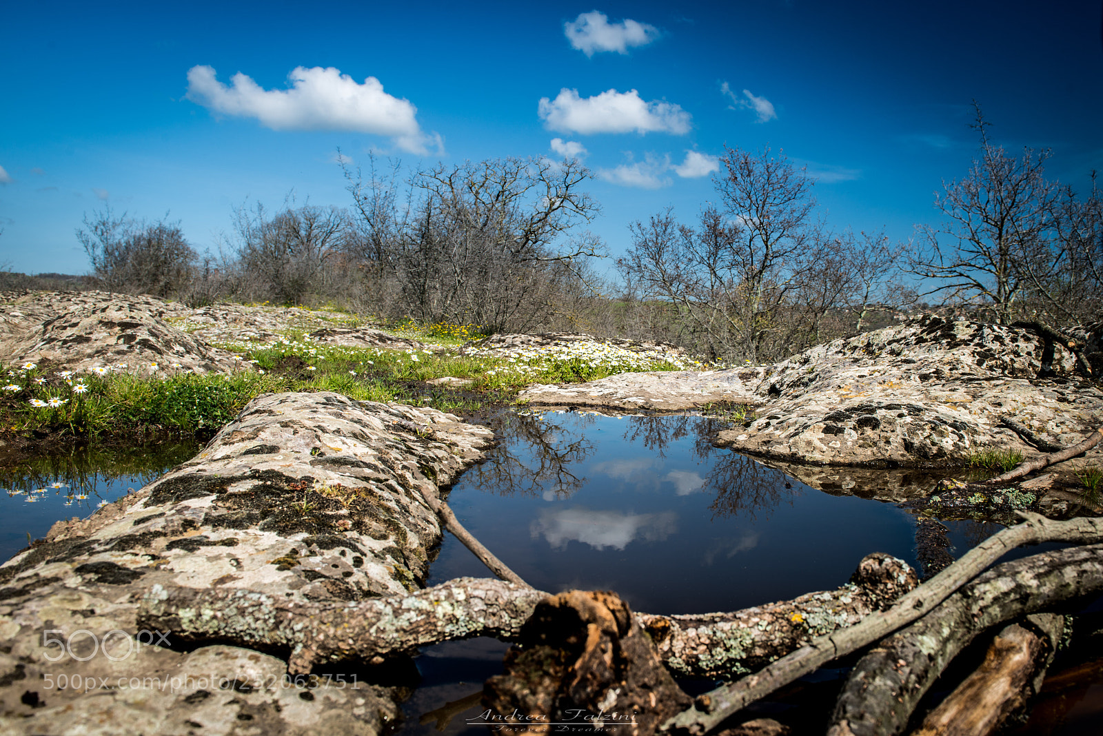 Nikon D800 sample photo. Riflessi photography