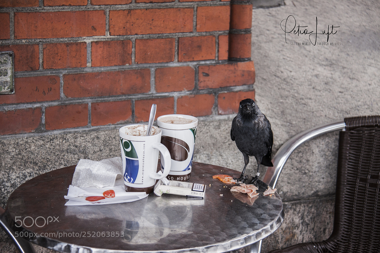Canon EOS 50D sample photo. Terrace table occupied photography
