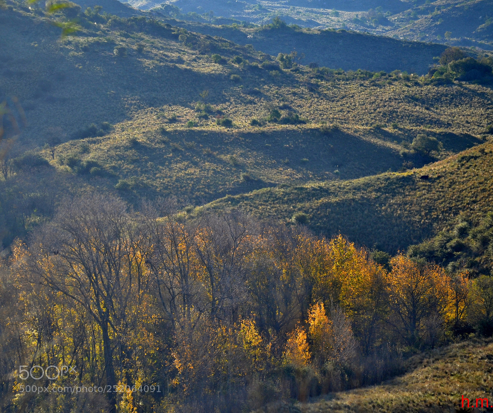 Nikon D3100 sample photo. Eafao photography