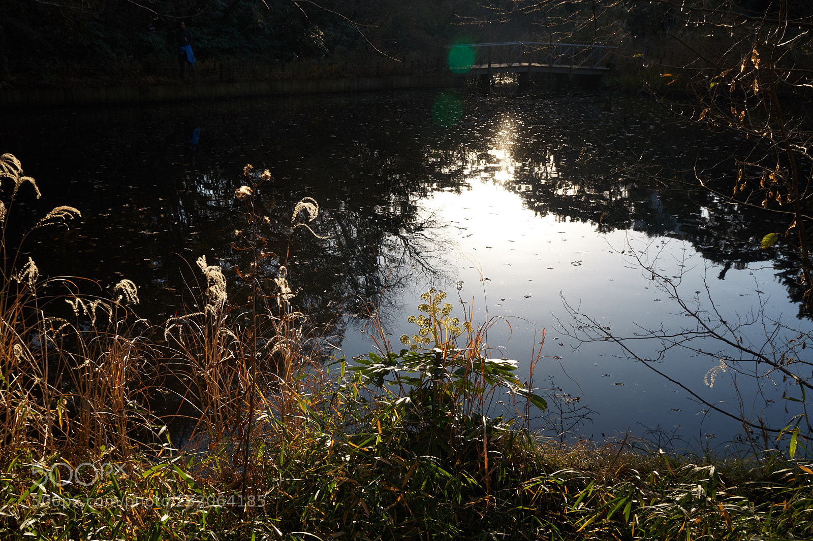 Sony a6300 sample photo. Memory in the autumn photography