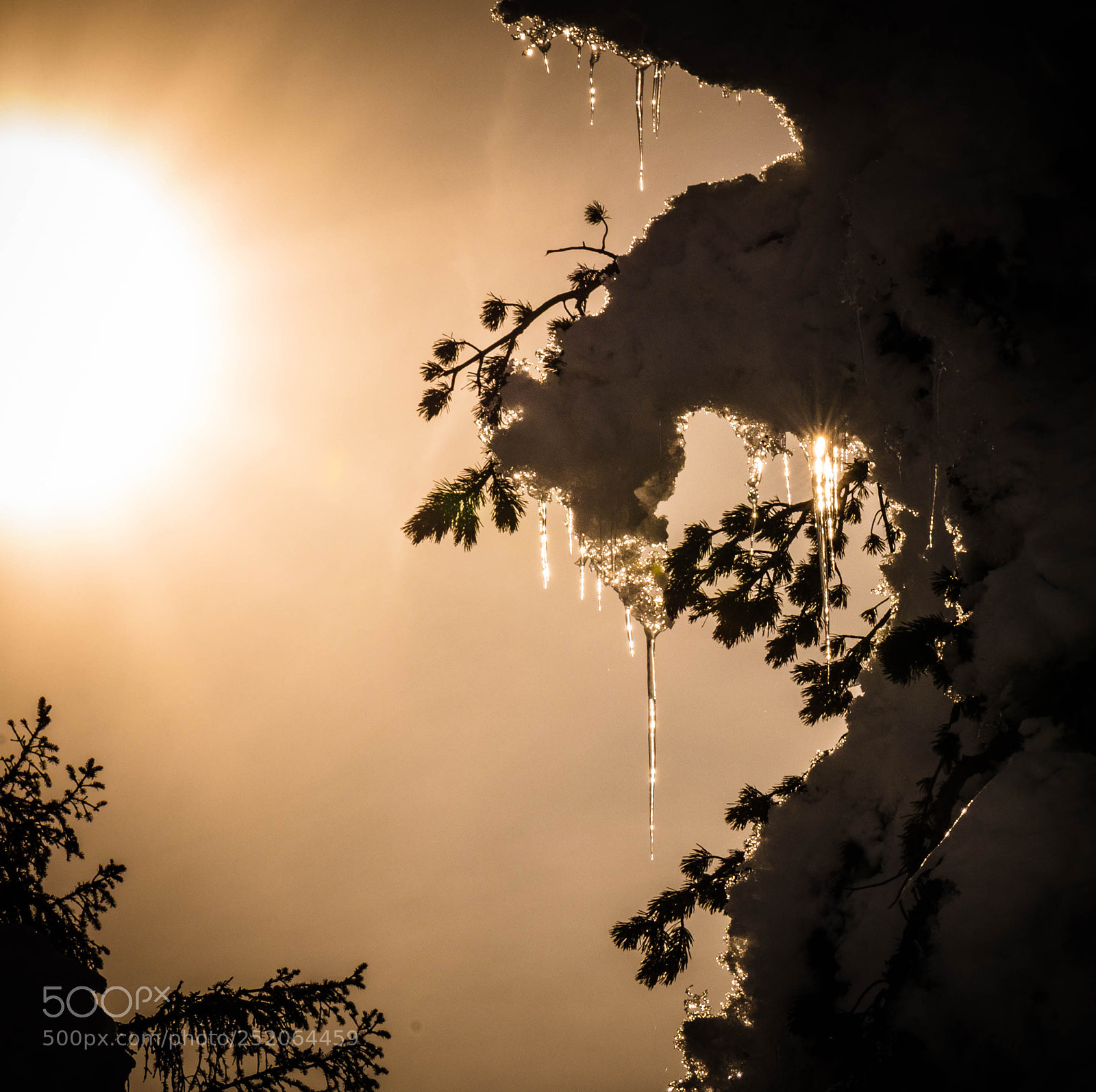 Canon EOS 5DS R sample photo. End of winter photography