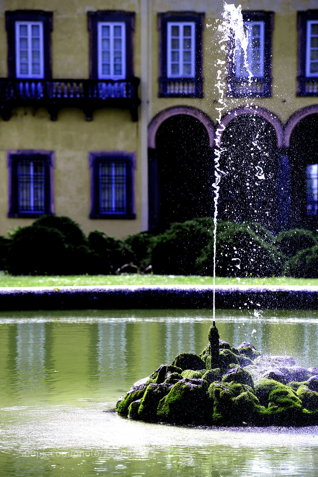Nikon D800 sample photo. Le jet d'eau photography