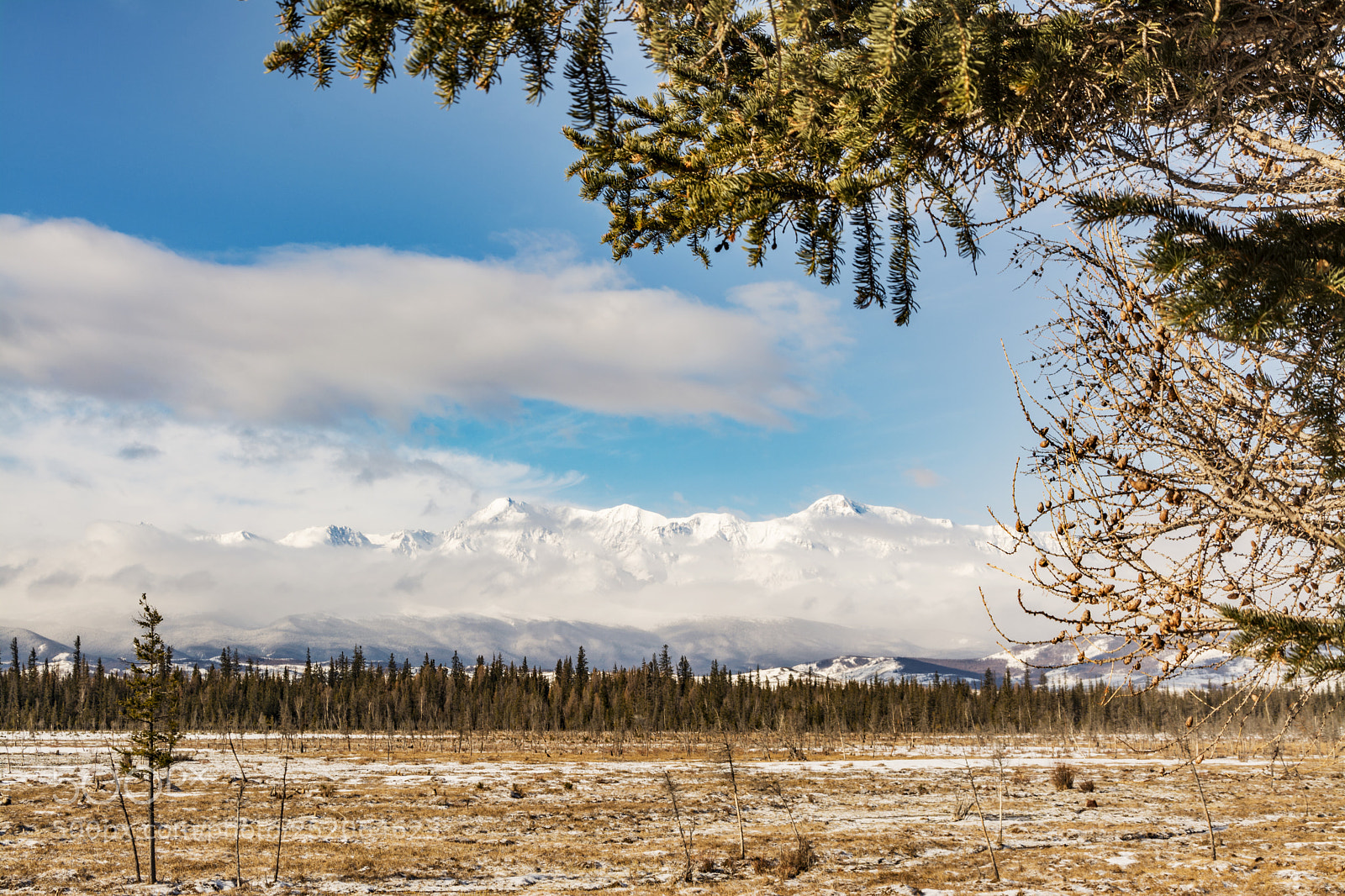 Nikon D5200 sample photo. North-chuya ridge photography