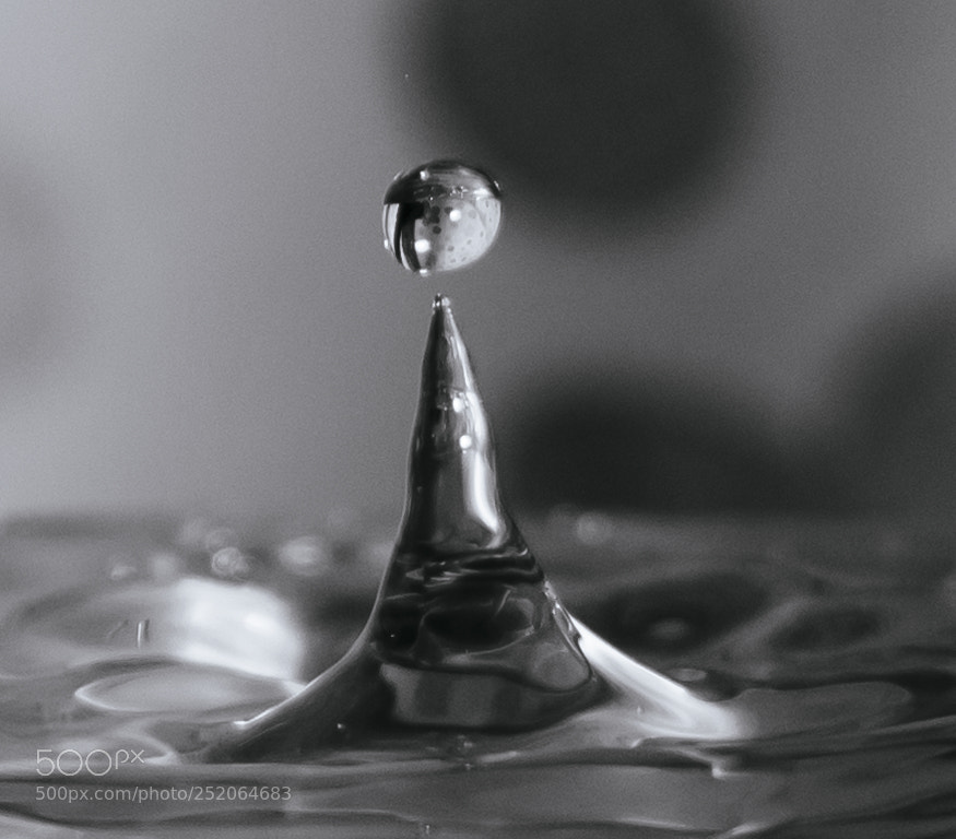 Nikon D3200 sample photo. Bounce! photography