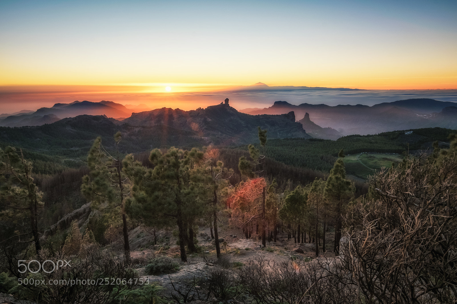 Nikon D5300 sample photo. Sunset in tejeda photography