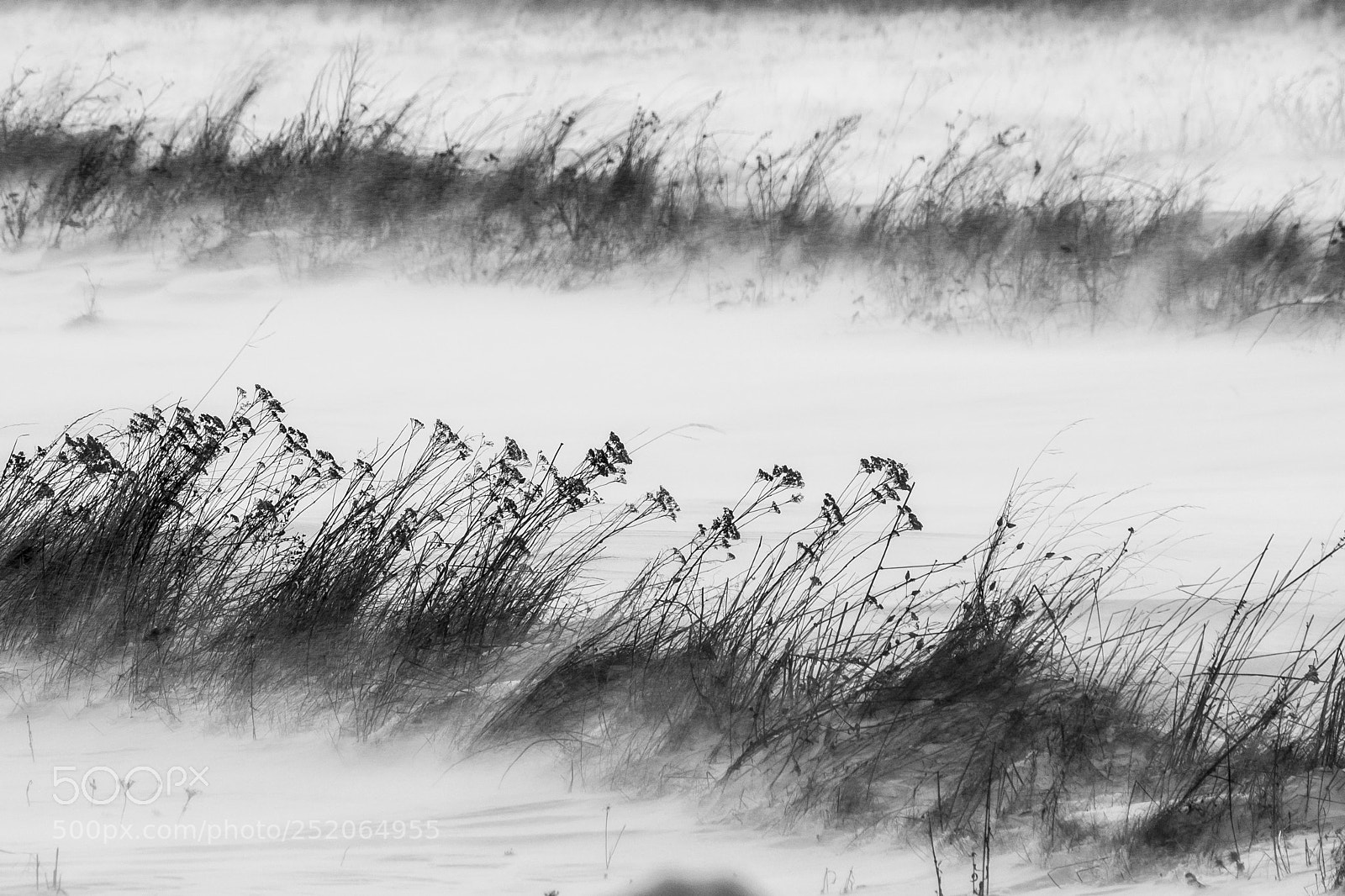Pentax K-3 sample photo. .. photography