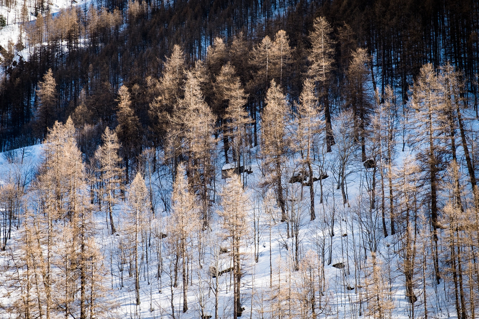 Fujifilm X-T20 sample photo. Neve e sole photography