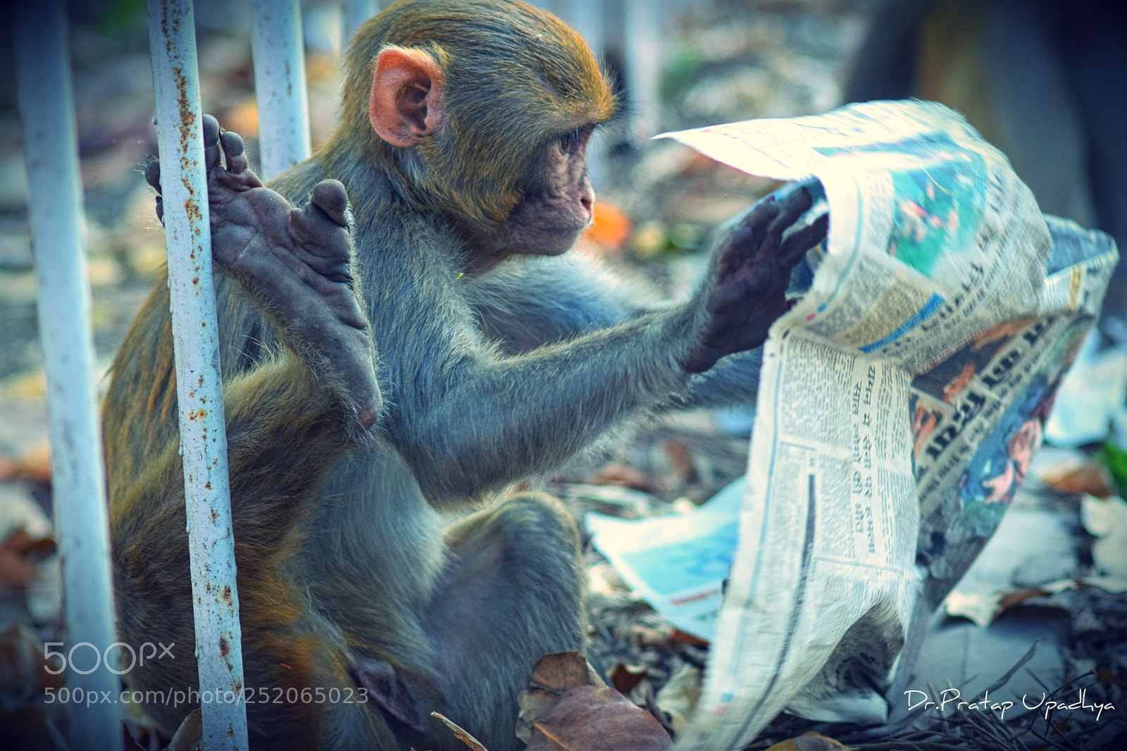 Nikon D5300 sample photo. Newspaper photography