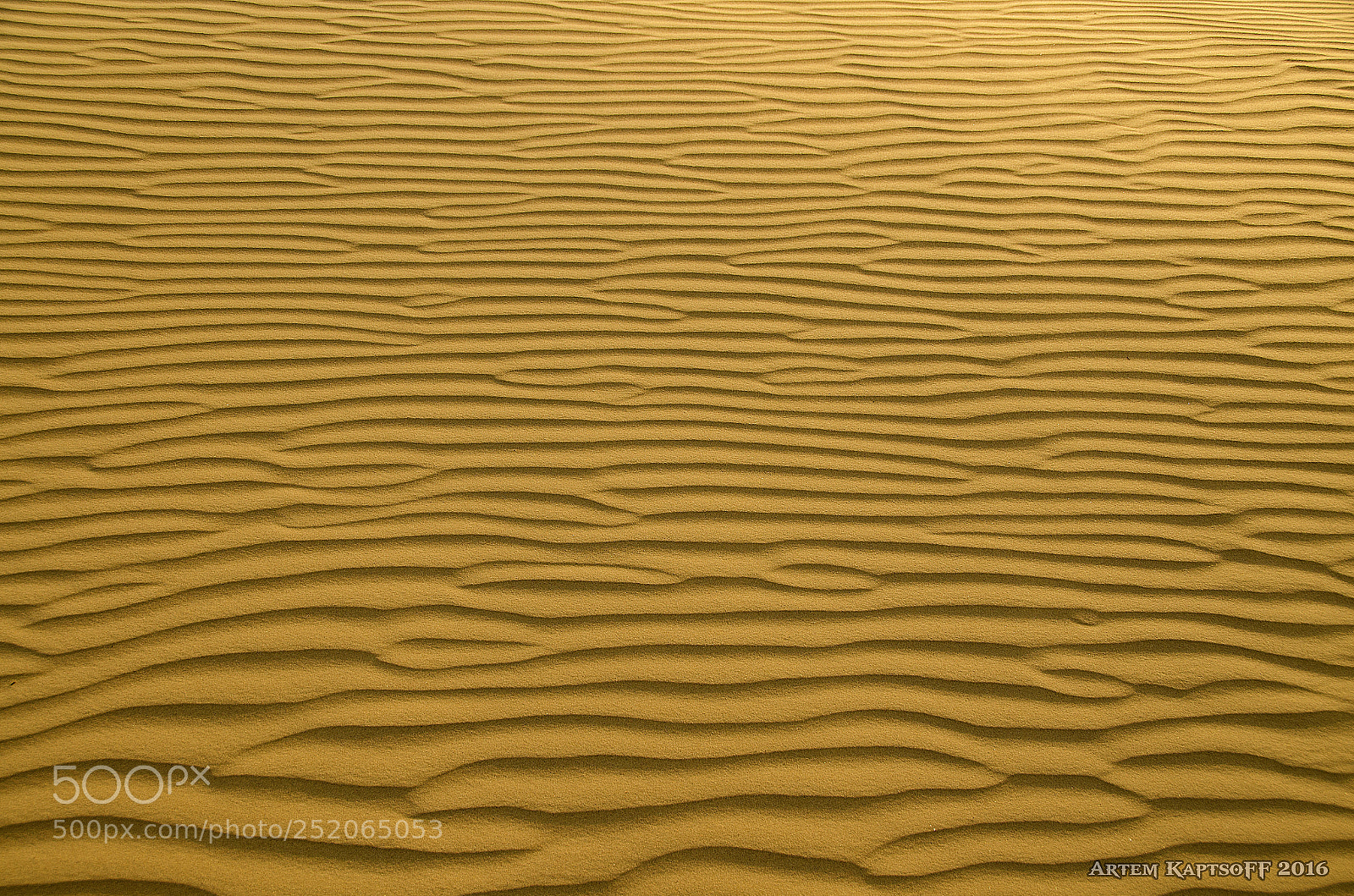 Nikon D7000 sample photo. Endless labyrinth photography