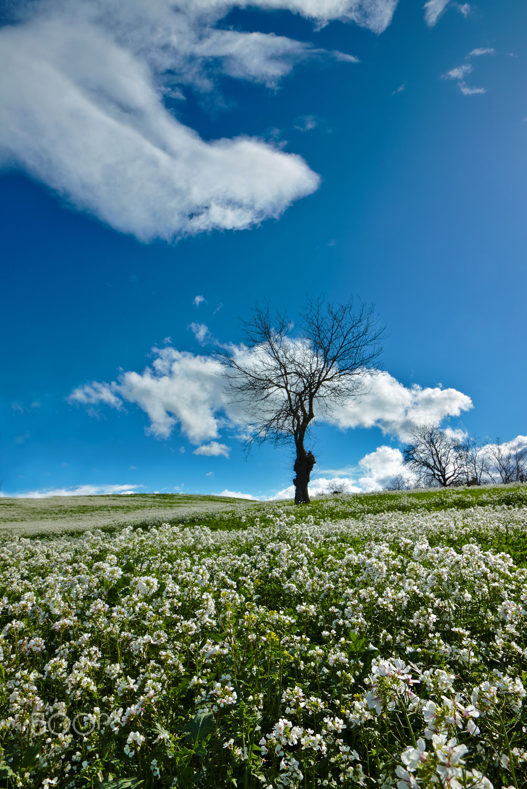 Canon EOS 70D sample photo. Earth calls the sky photography