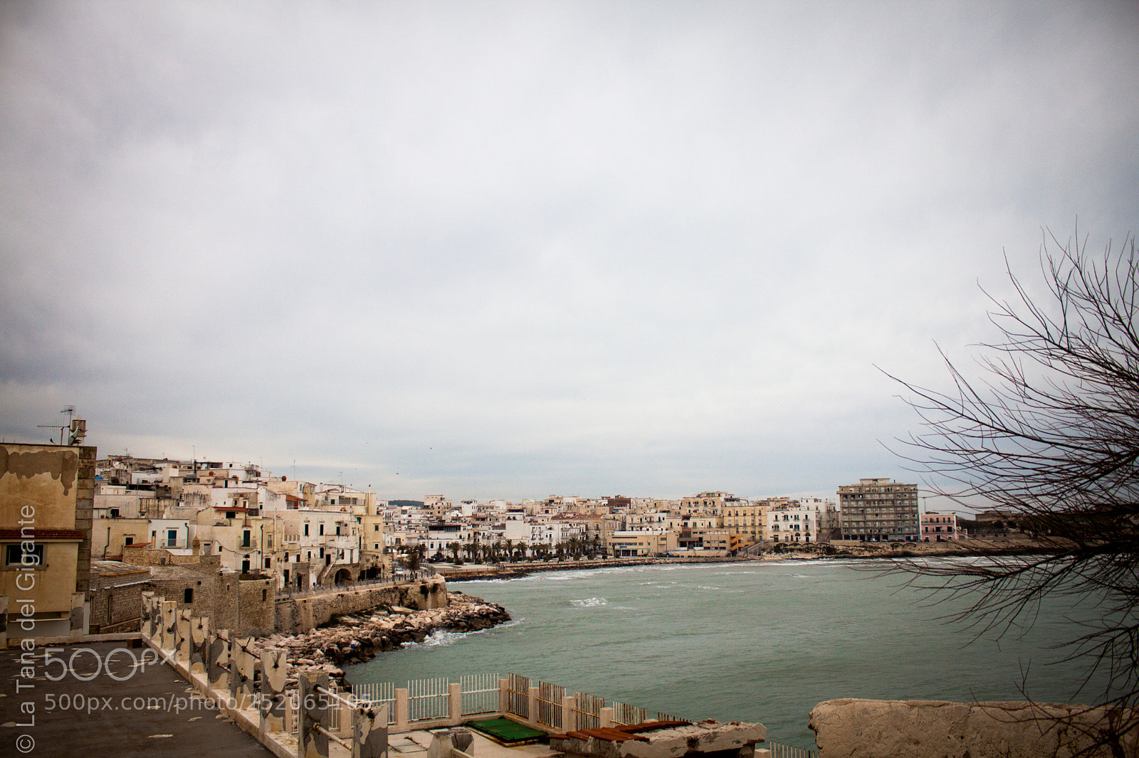 Canon EOS 500D (EOS Rebel T1i / EOS Kiss X3) sample photo. Panorama photography