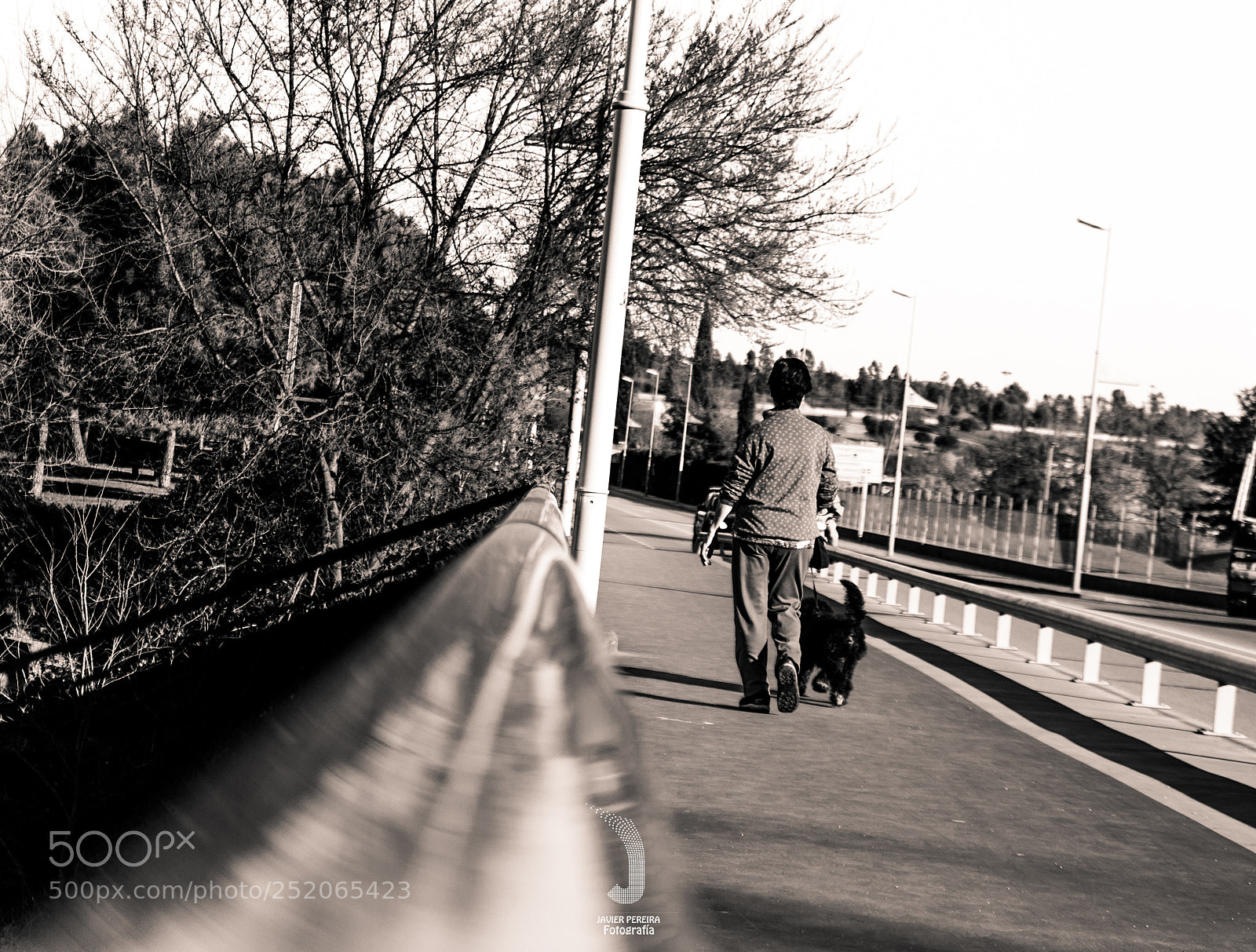 Nikon D3000 sample photo. Un paseo natural photography