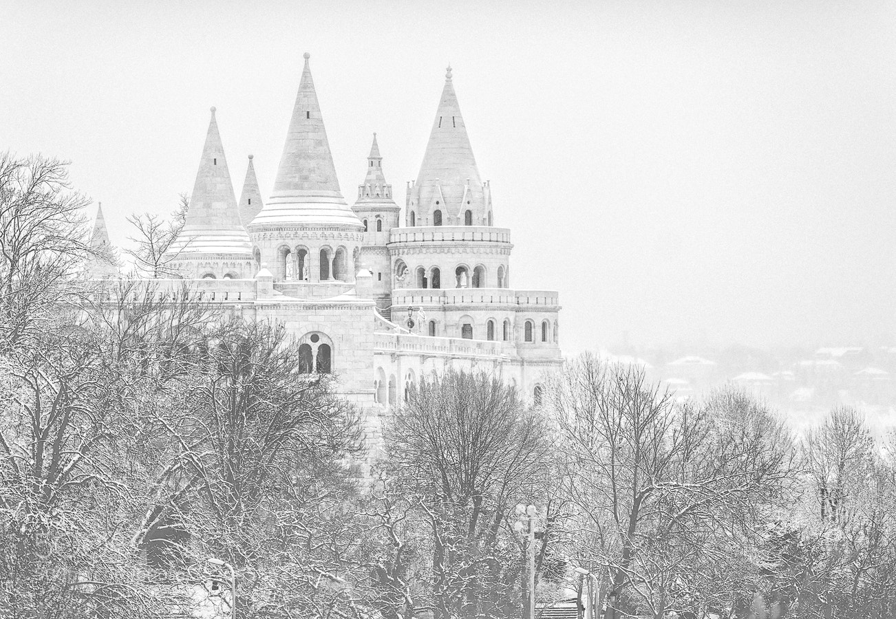 Nikon D800 sample photo. Winter photography