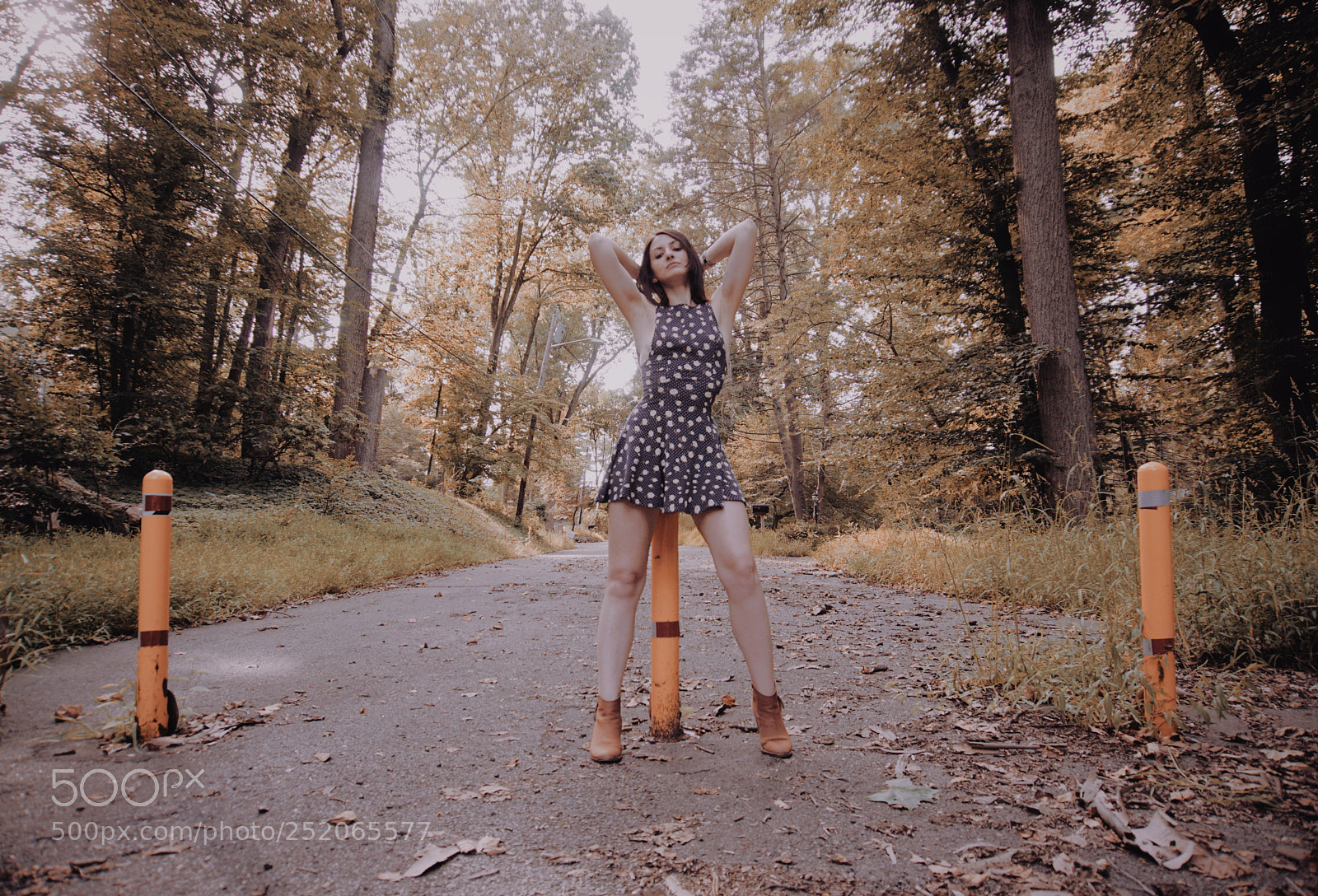 Sony a6000 sample photo. Wood photography