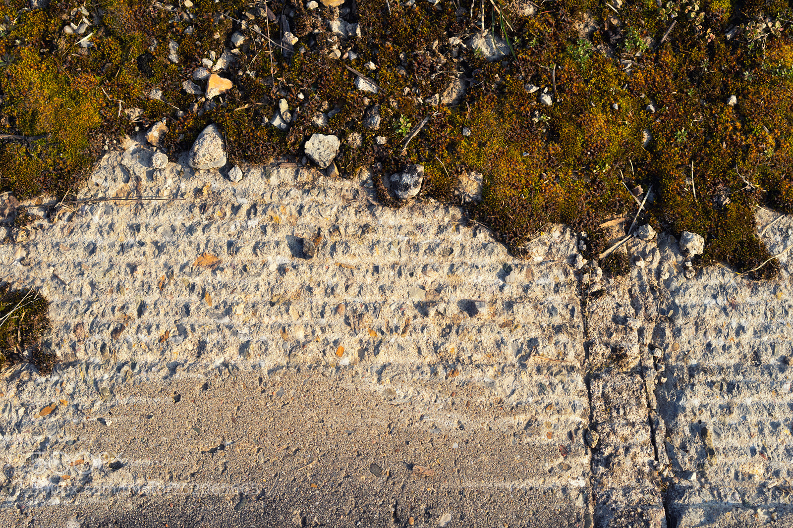Sony a7 sample photo. Overgrown vineyard stone texture photography