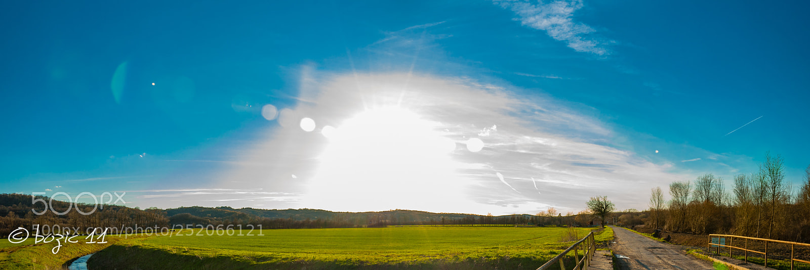 Nikon D90 sample photo. Field photography