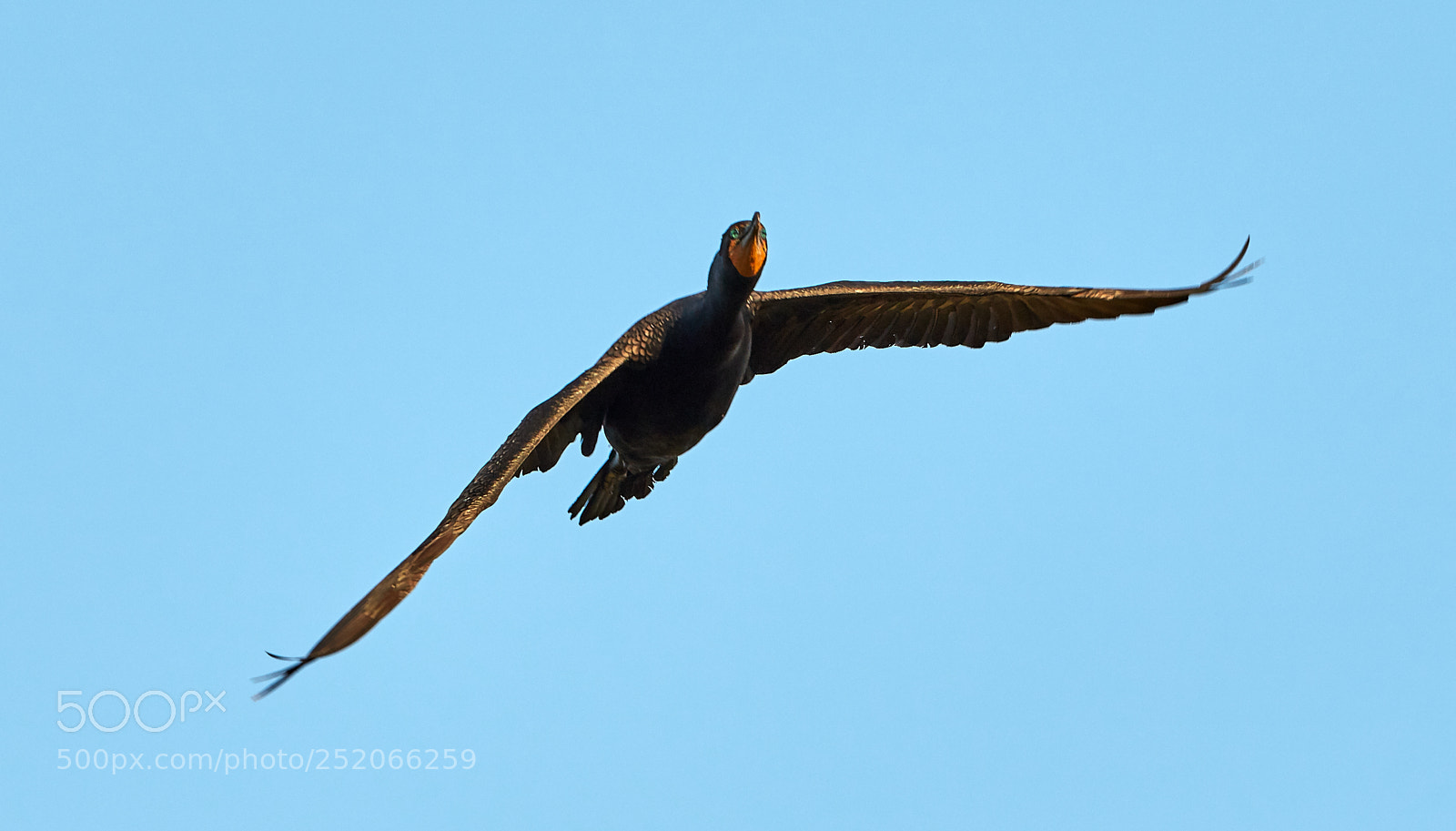 Canon EOS 5DS R sample photo. 04-03-18-0010343.jpg photography