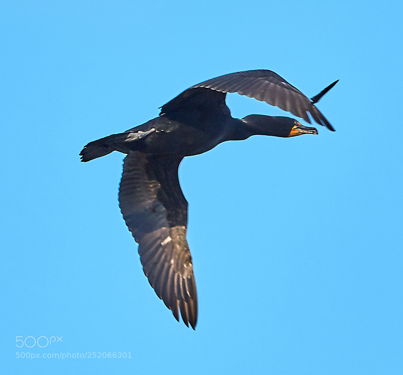Canon EOS 5DS R sample photo. 04-03-18-0010328.jpg photography