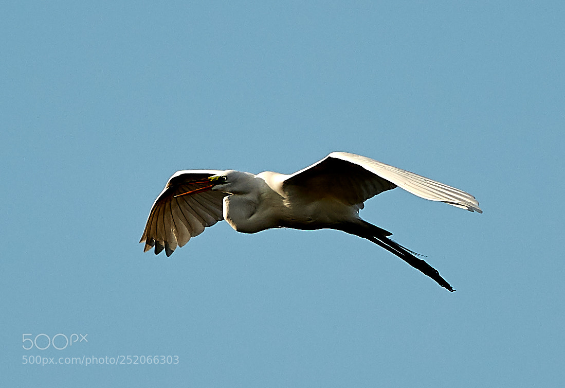 Canon EOS 5DS R sample photo. 04-03-18-0010326.jpg photography