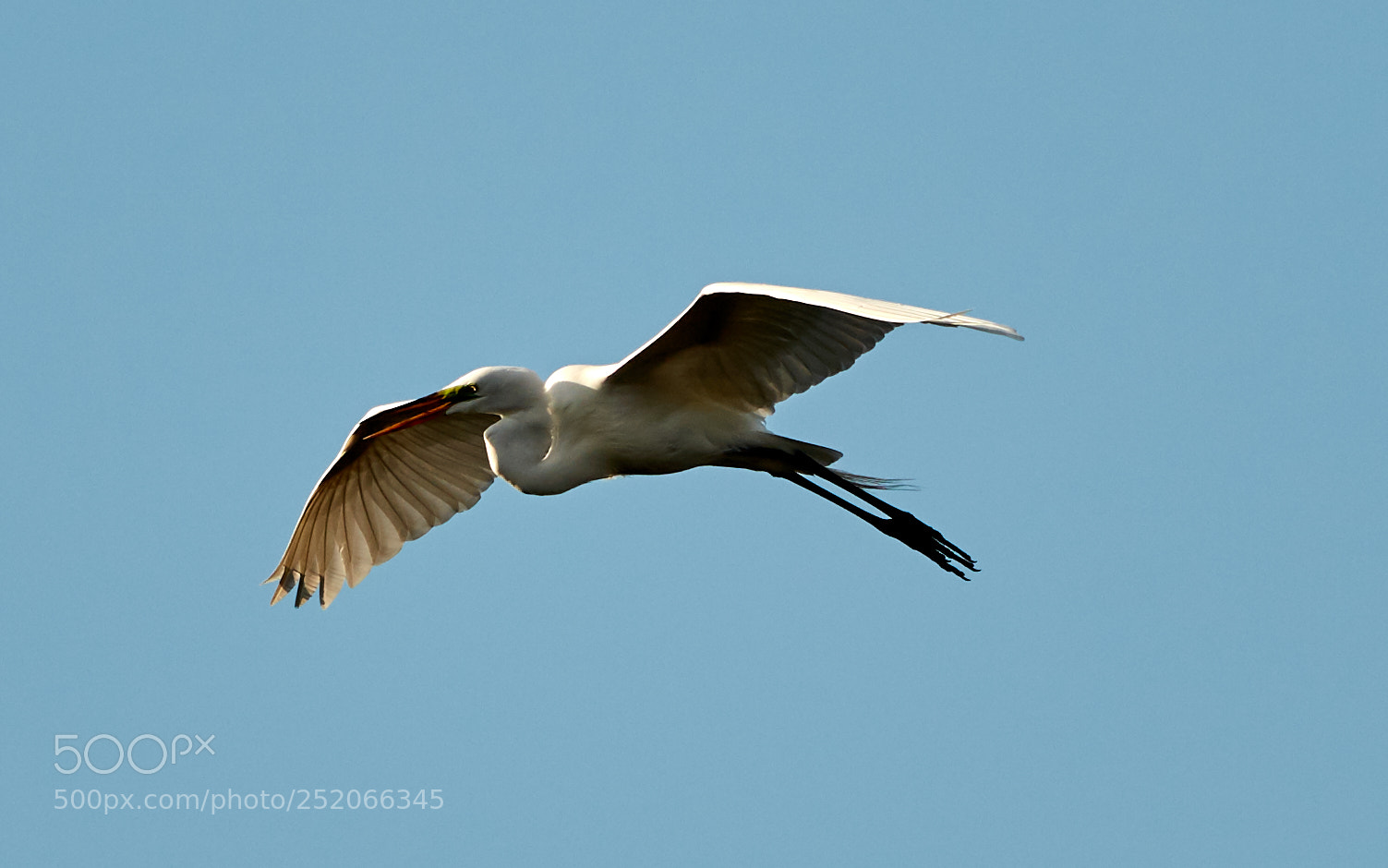 Canon EOS 5DS R sample photo. 04-03-18-0010324.jpg photography