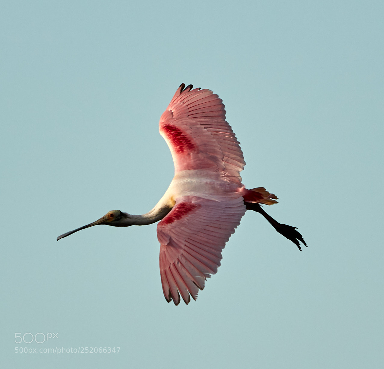 Canon EOS 5DS R sample photo. 04-03-18-0010322.jpg photography