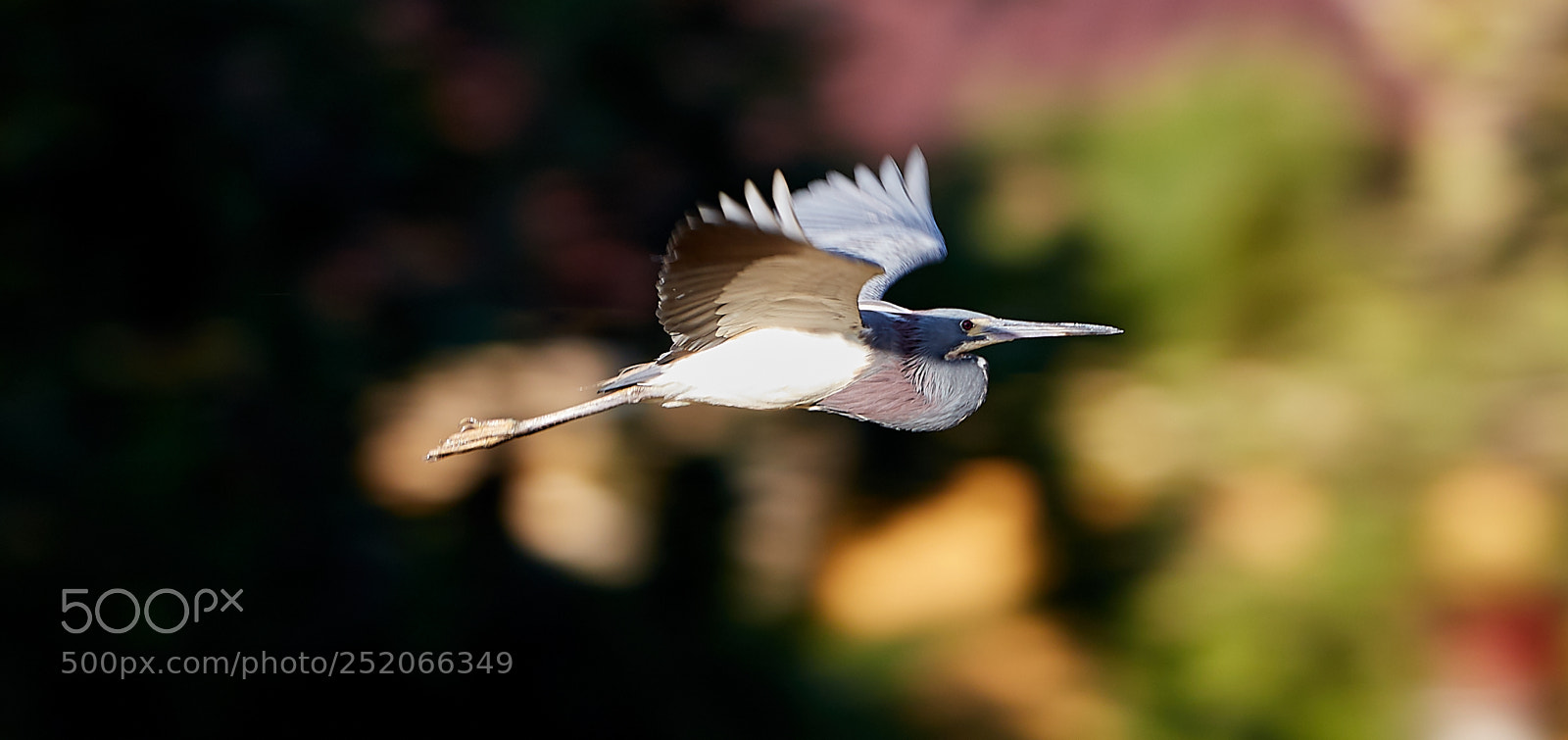 Canon EOS 5DS R sample photo. 04-03-18-0010321.jpg photography