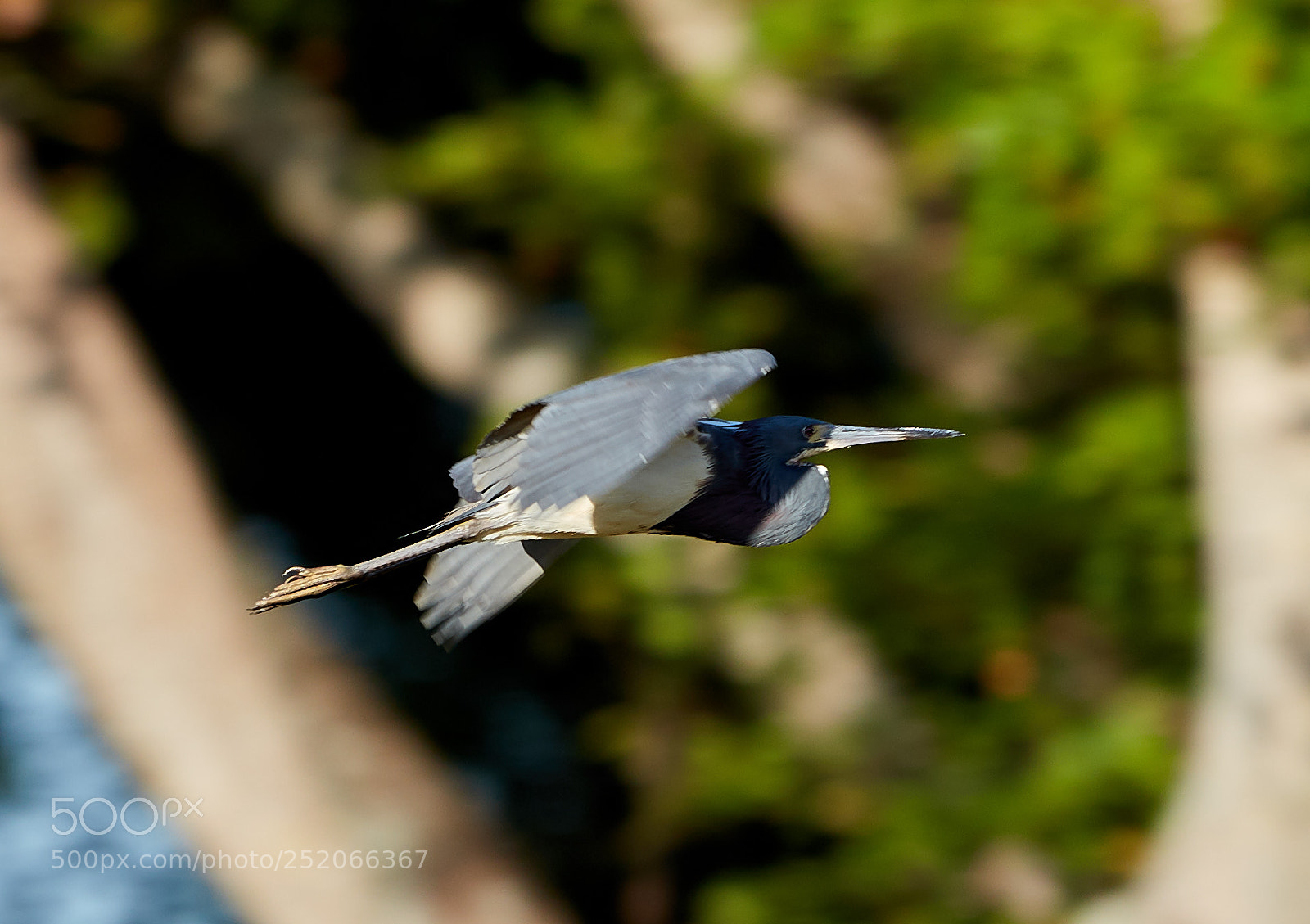 Canon EOS 5DS R sample photo. 04-03-18-0010320.jpg photography
