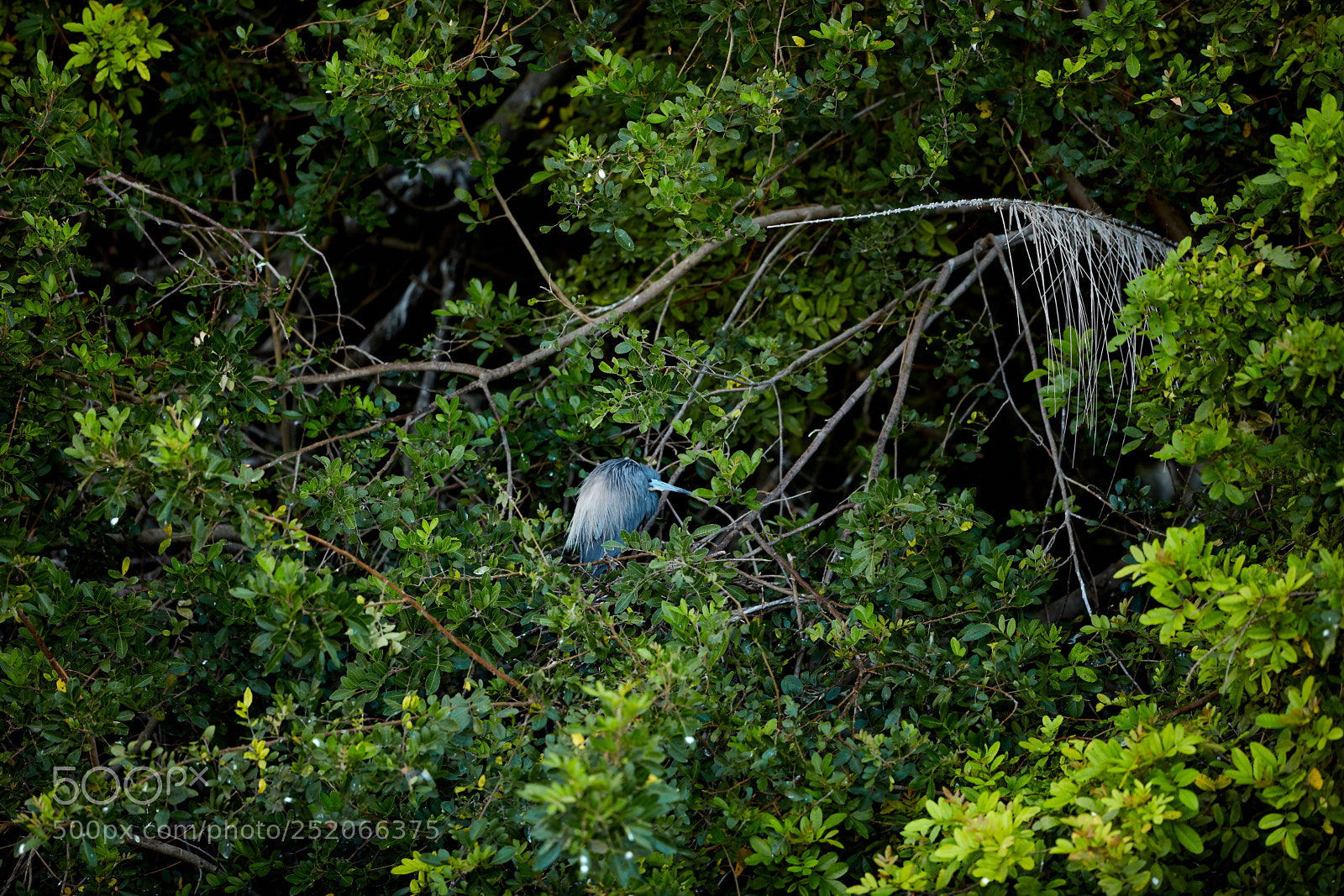 Canon EOS 5DS R sample photo. 04-03-18-0010597.jpg photography