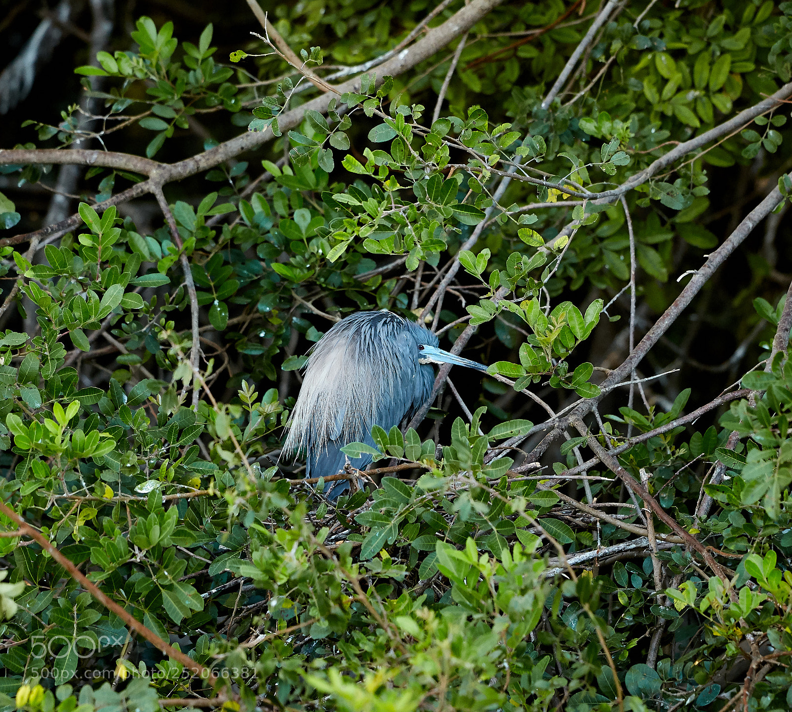 Canon EOS 5DS R sample photo. 04-03-18-0010596.jpg photography