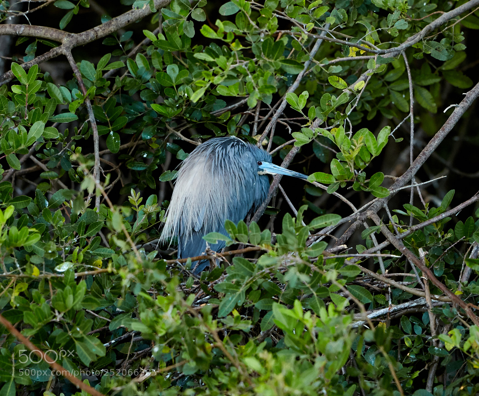 Canon EOS 5DS R sample photo. 04-03-18-0010595.jpg photography