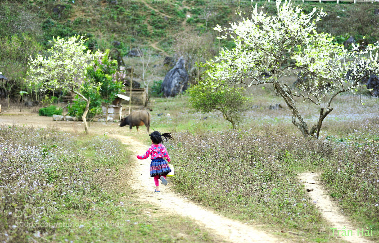 Nikon D700 sample photo. Back home photography