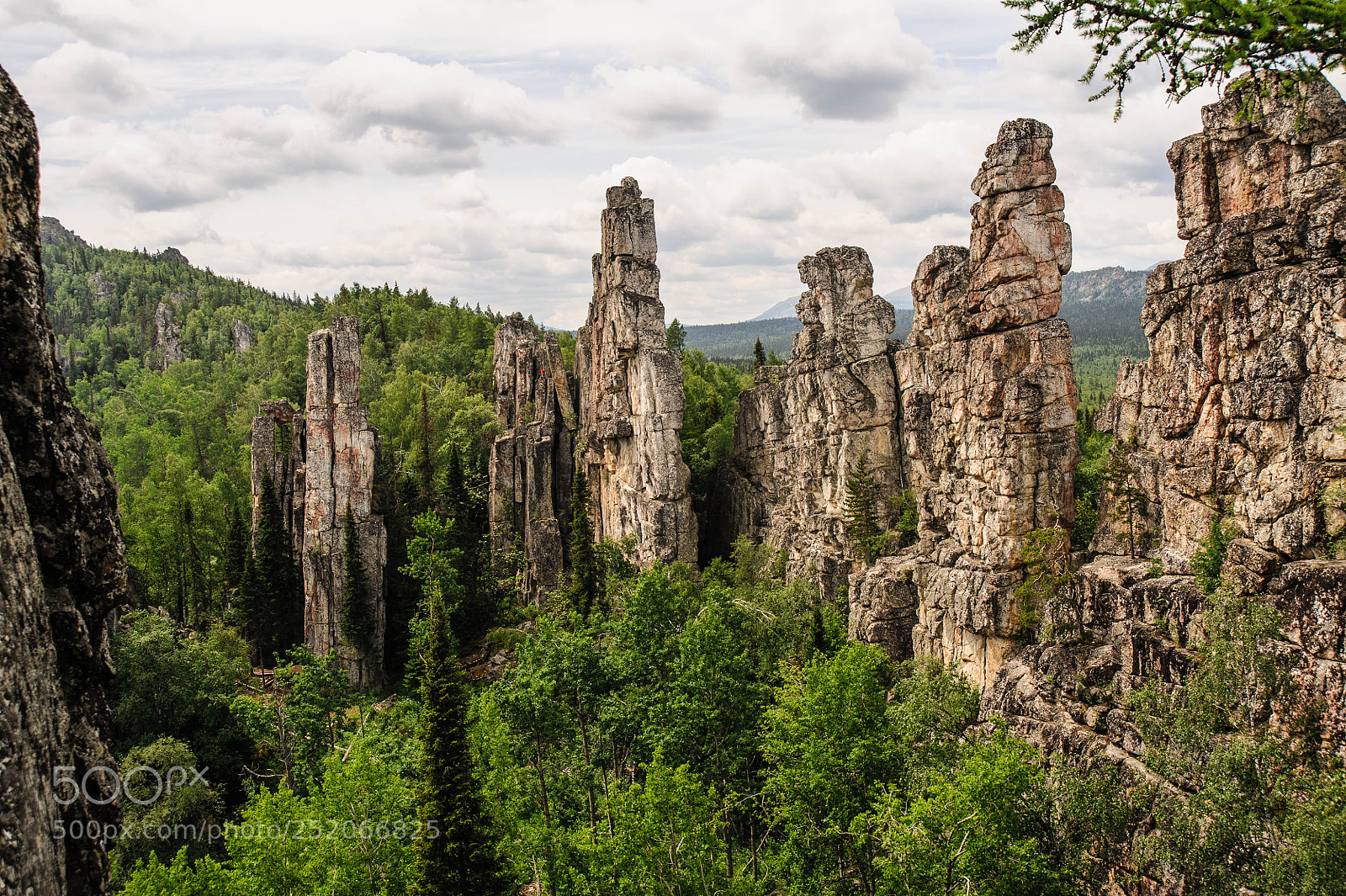 Nikon D700 sample photo. Инзерские зубчатки photography