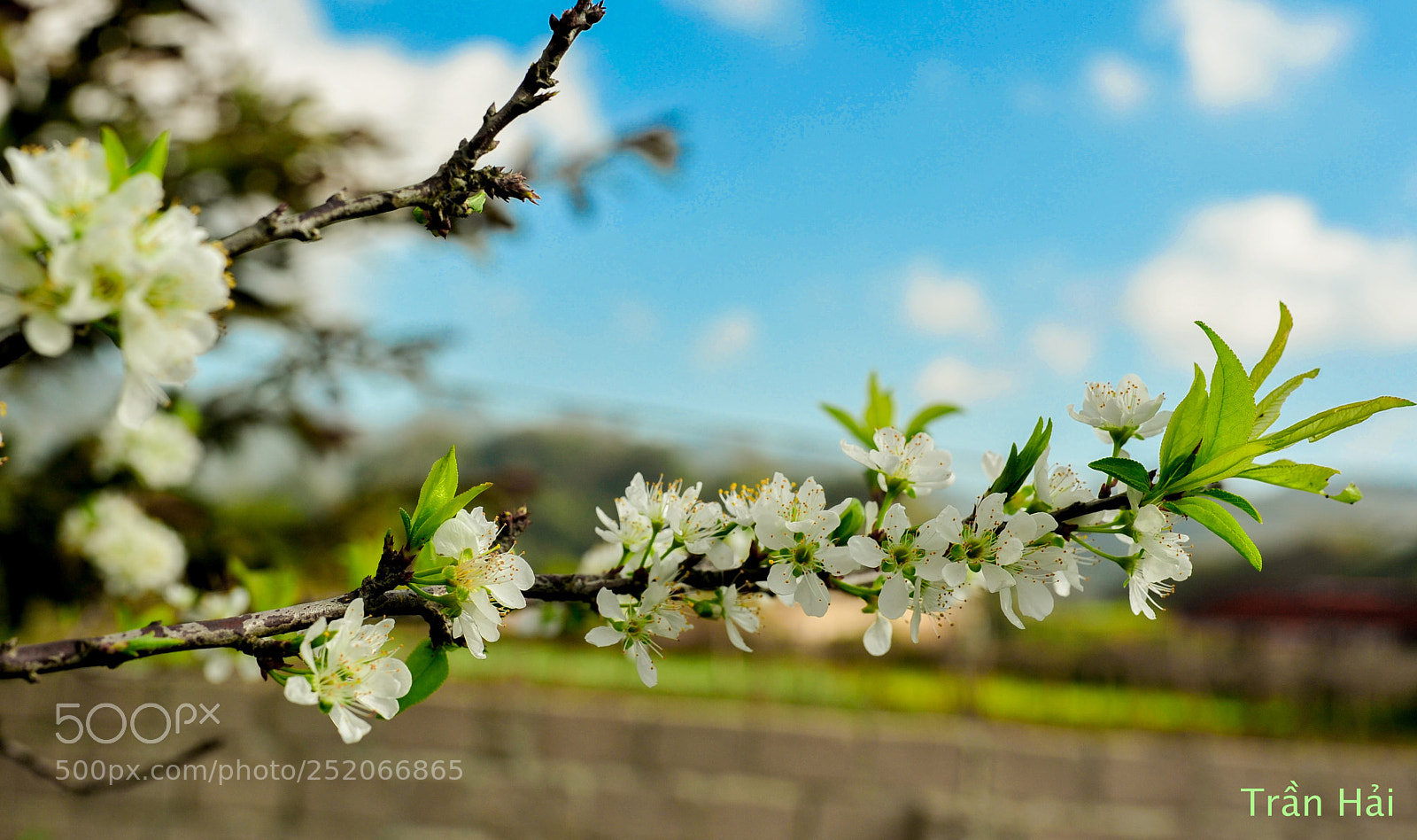 Nikon D700 sample photo. Ta y ba c photography