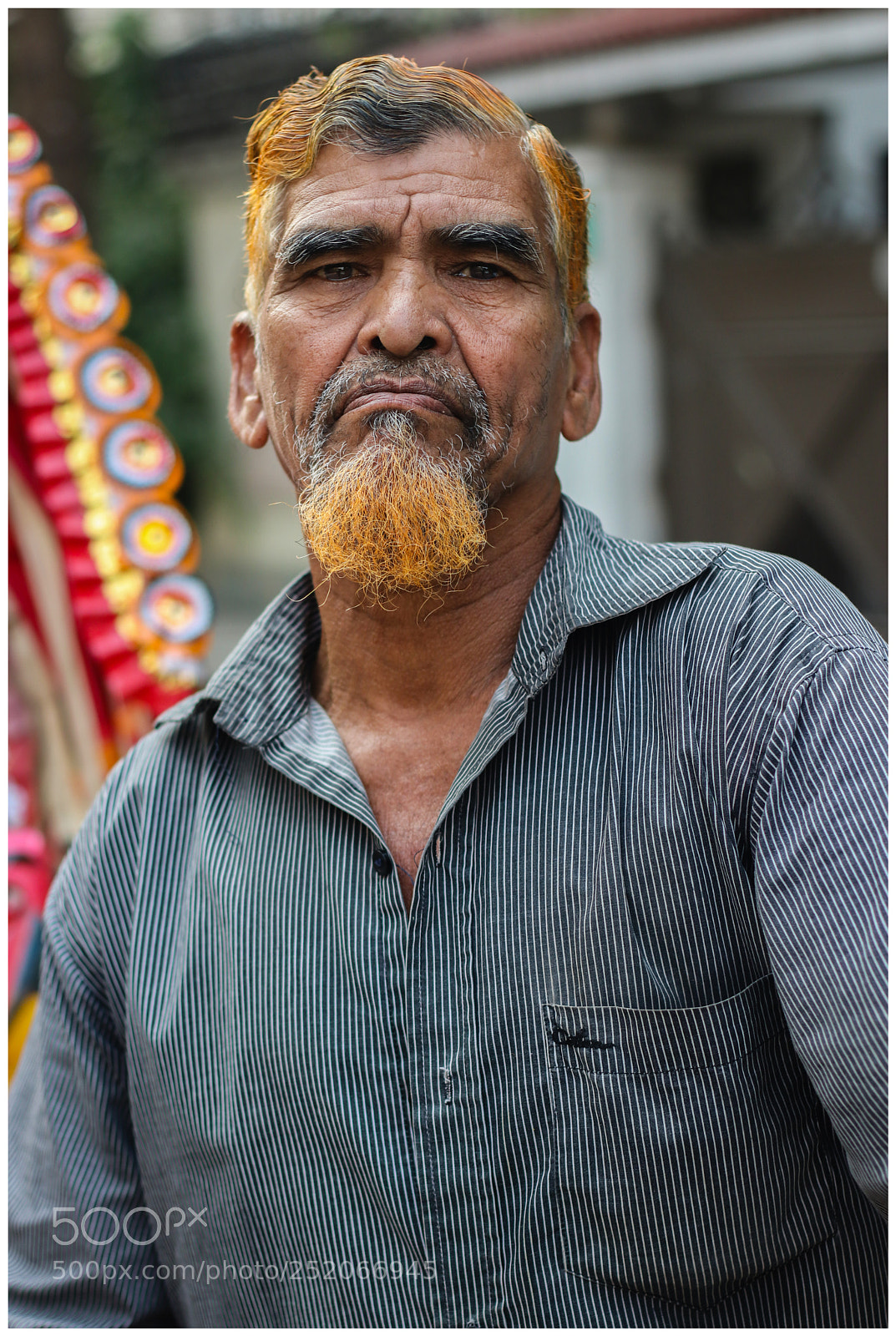 Canon EOS 80D sample photo. Colourful look.jpg photography