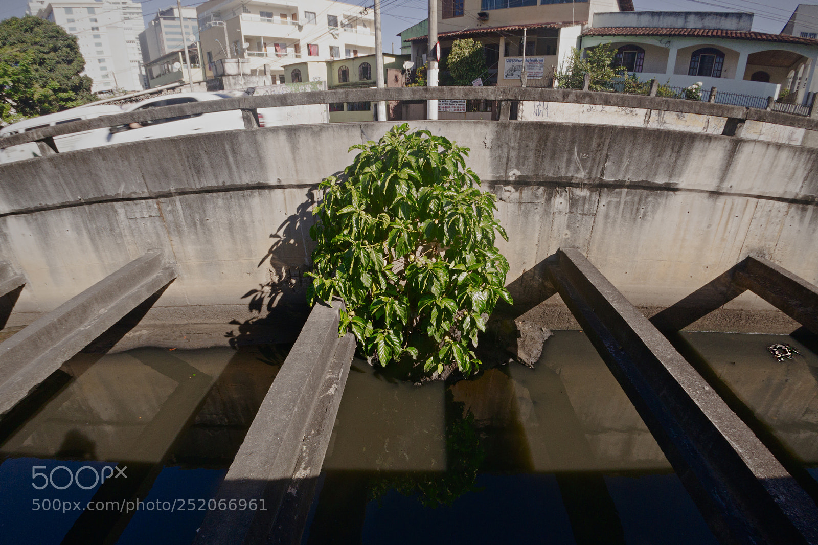 Sony Alpha NEX-6 sample photo. Editar photography