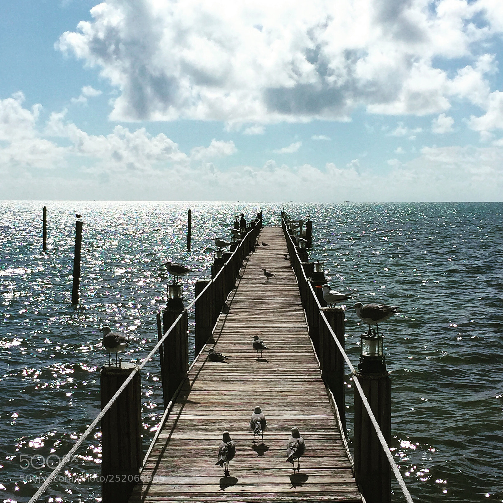 Apple iPhone 6 sample photo. Key west pier photography