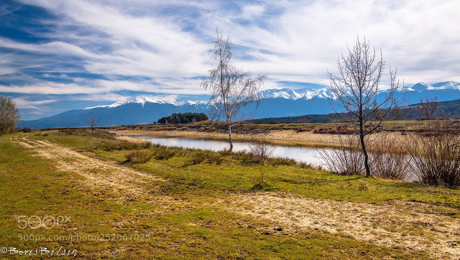 Nikon D7200 sample photo. Springtime splendor photography