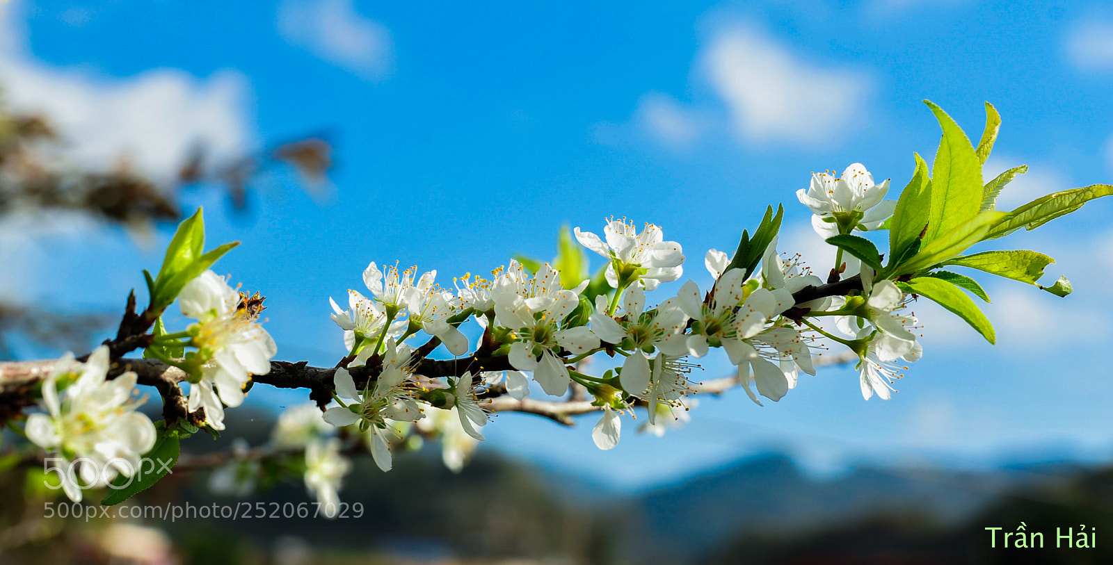Nikon D700 sample photo. Ta y ba c photography