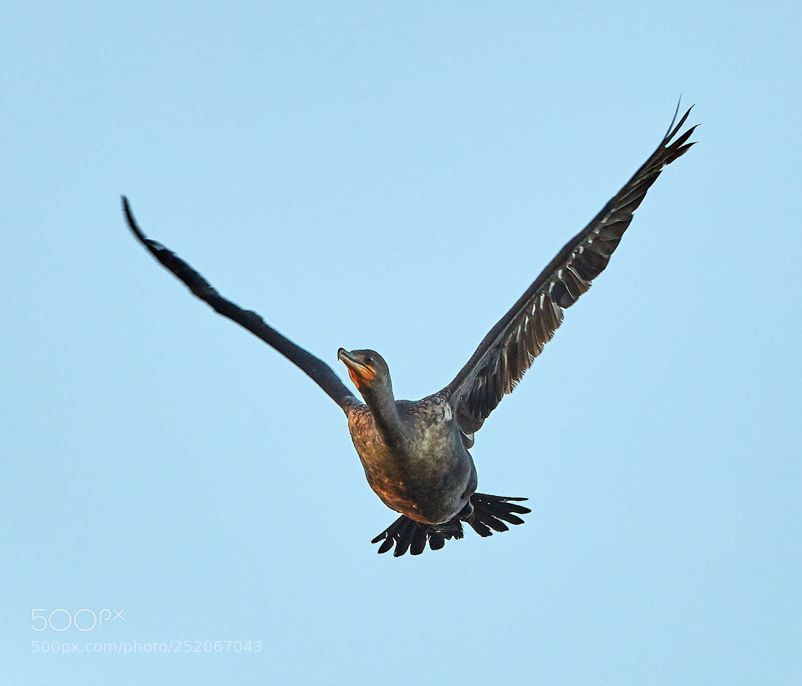 Canon EOS 5DS R sample photo. 04-03-18-0010594.jpg photography