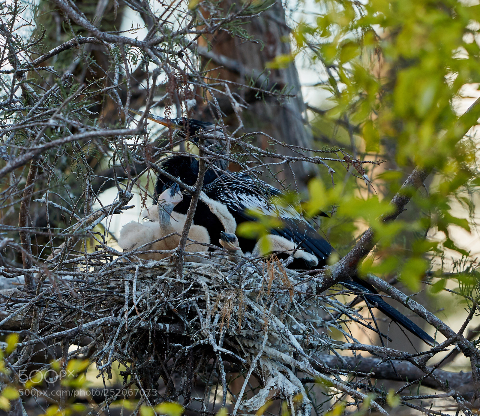 Canon EOS 5DS R sample photo. 04-03-18-0010584.jpg photography