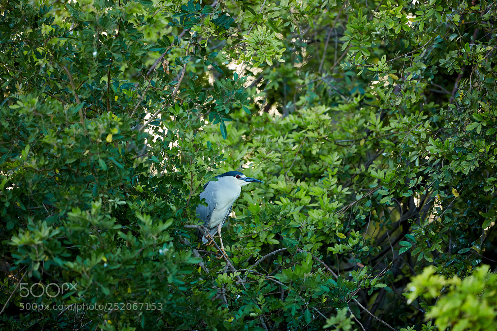 Canon EOS 5DS R sample photo. 04-03-18-0010570.jpg photography