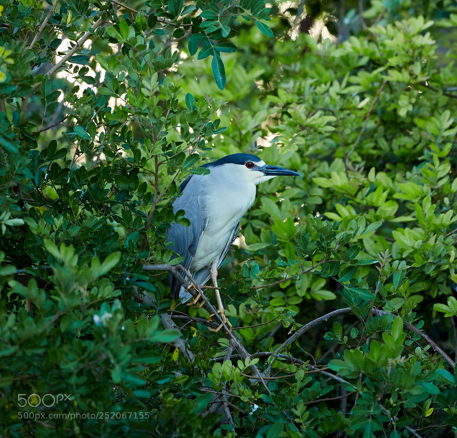 Canon EOS 5DS R sample photo. 04-03-18-0010569.jpg photography