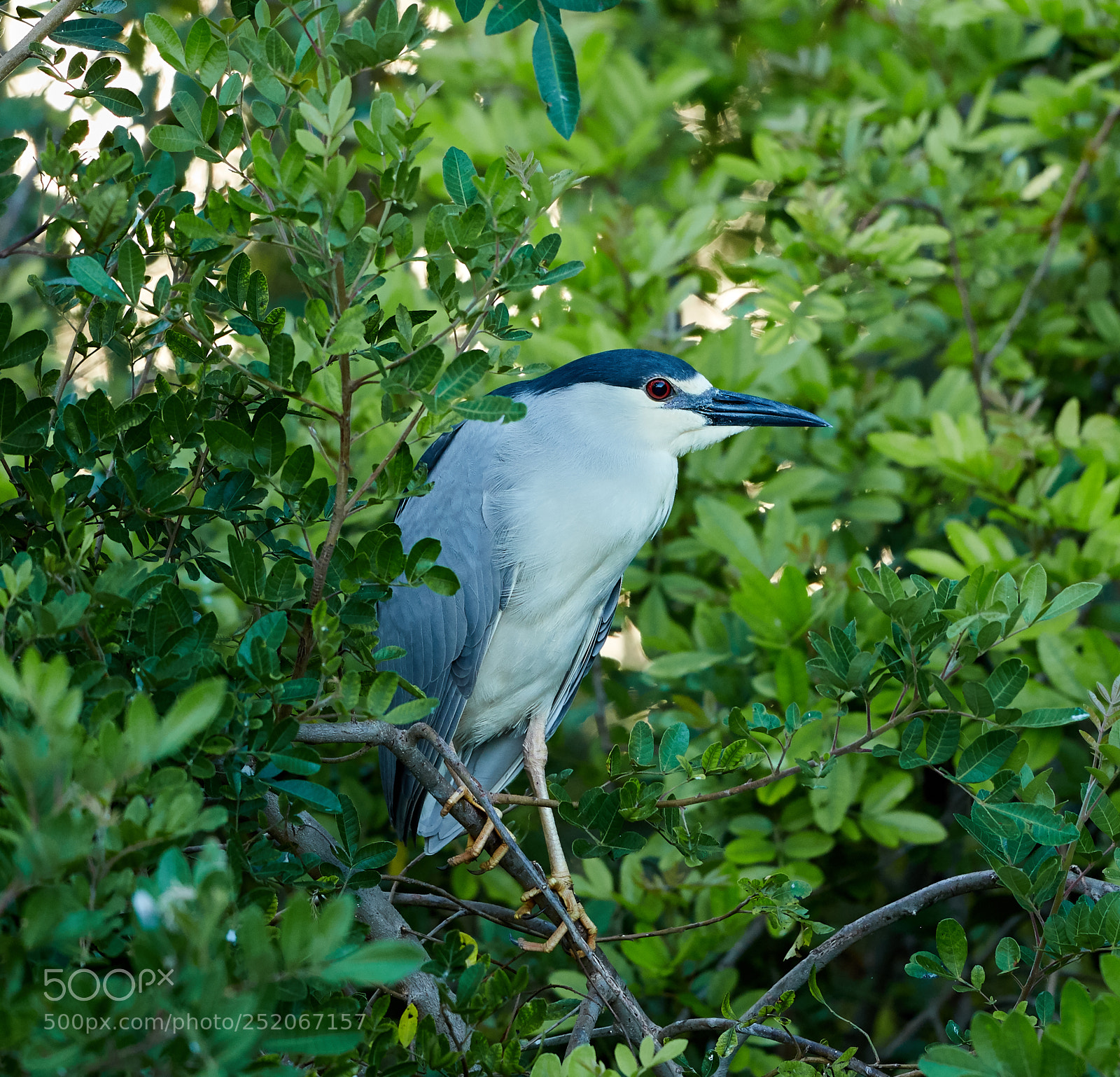 Canon EOS 5DS R sample photo. 04-03-18-0010568.jpg photography