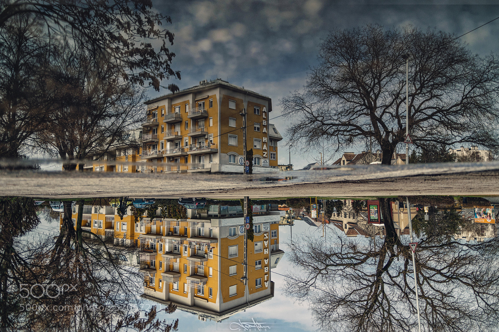 Nikon D5300 sample photo. Upside down photography