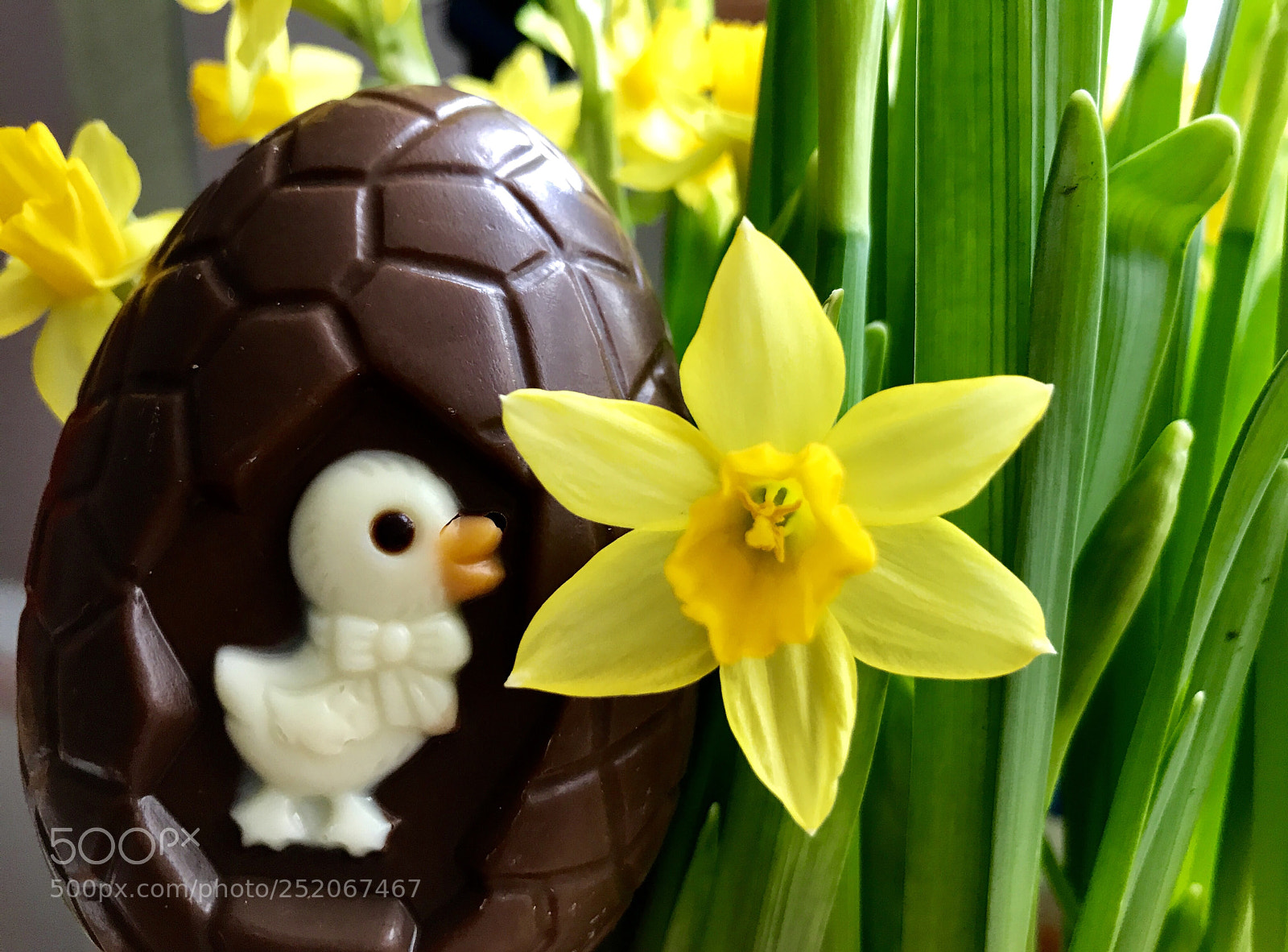 Apple iPhone 7 sample photo. Easter photography