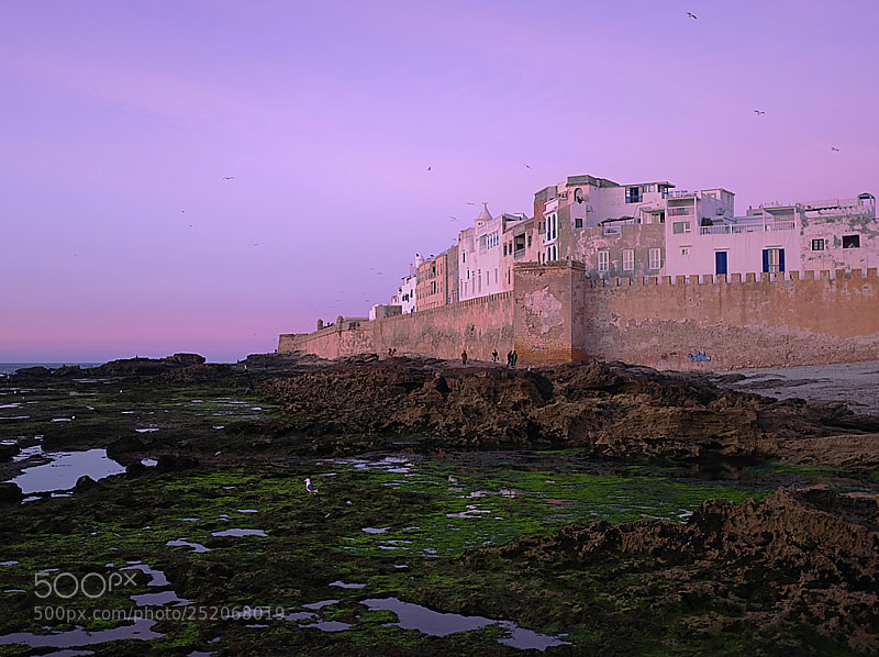 Fujifilm X100F sample photo. Last light at essaouira photography