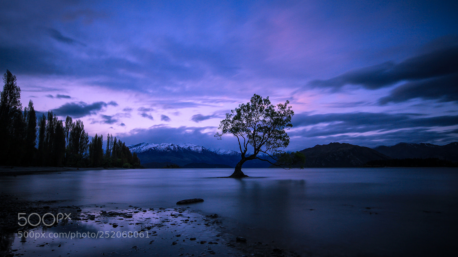 Canon EOS 7D sample photo. The famous wanaka-tree new photography